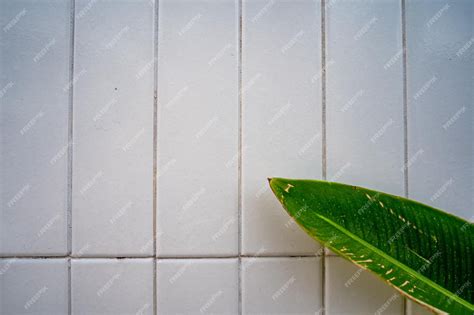 Premium Photo | White mosaic tile with indoor plants background