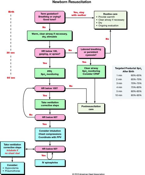 Newborn Resuscitation Concept Mapping. | Critical Care Nursing | Pinterest | NICU, School and ...