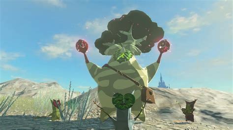 Zelda: Tears of the Kingdom — How to Get and Use Korok Seeds in TotK – GameSkinny