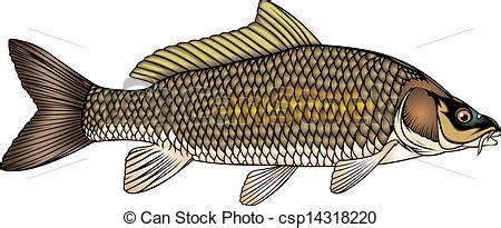 Carp clipart 20 free Cliparts | Download images on Clipground 2024