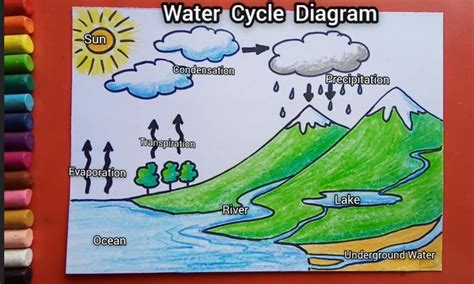 Water Cycle Drawing And Explain - Design Talk