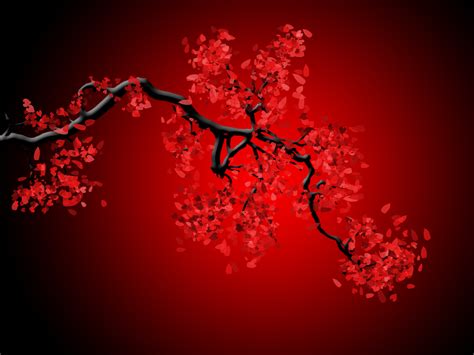 🔥 Download Cherry Blossom Red And Black Wallpaper by @jamesg39 | Cherry ...