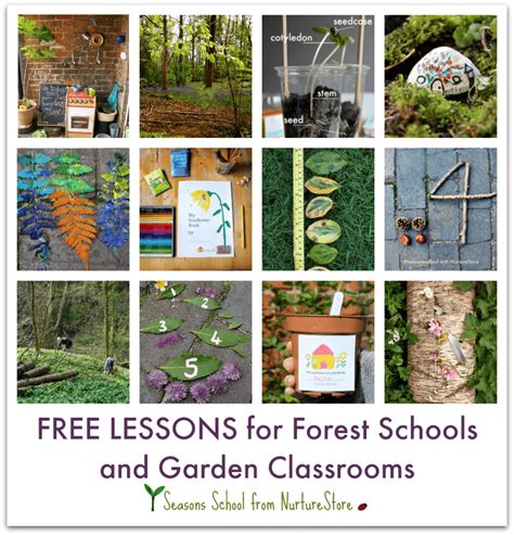 Forest school activities for outdoor classrooms - NurtureStore