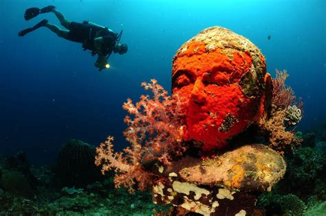 Tempel underwater garden pemuteran | Bali travel, Indonesia travel, Underwater