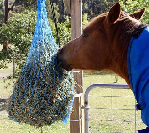 Hay Nets - Slow Feeder - Super Horse Saddlery