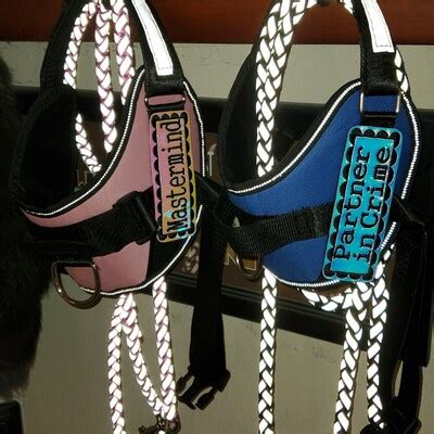 Custom Dog Harness Patches - Etsy