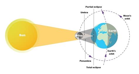 Solar Eclipse Diagram Labeled