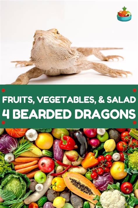 Fruits and Vegetables for Bearded Dragons | Bearded dragon food, Bearded dragon, Bearded dragon ...