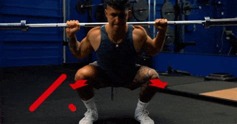 Barbell Squat Exercise Proper Form Technique