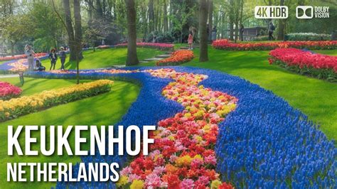 Keukenhof, Tulip Gardens - 🇳🇱 Netherlands [4K HDR] Walking Tour - YouTube