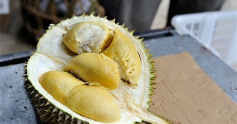 Durian Smell Prompt Evacuation of 550 People From Australian University Library | Fly FM