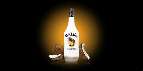 Malibu Price List: Find The Perfect Bottle Of Rum (Guide)