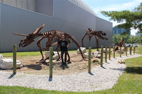 Project: Dinosaur Sculpture Garden – Museum EXP