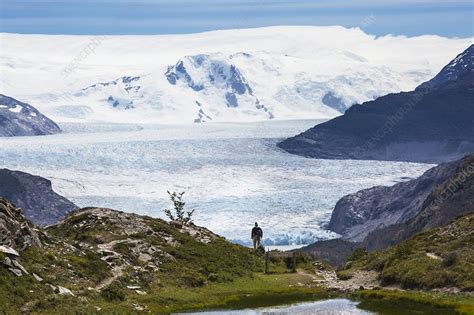 Gray glacier, Patagonia, Chile - Stock Image - C028/9444 - Science ...