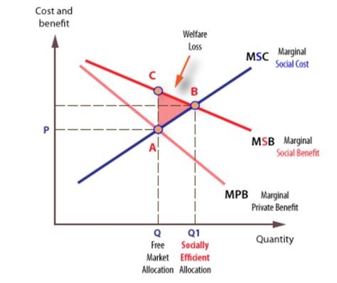 [Solved] What is a negative externality? Construct a graph for the market... | Course Hero