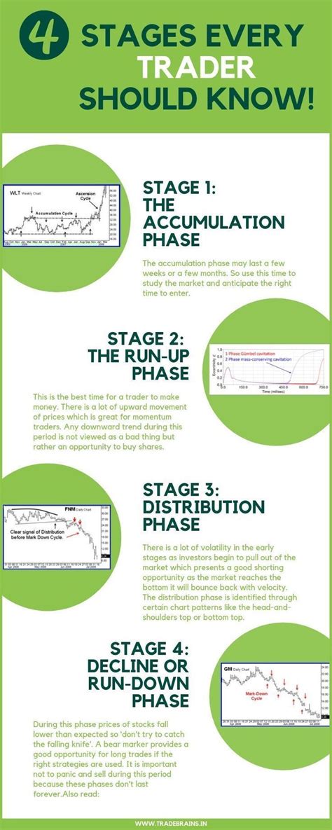 The Stock Market Cycle: 4 Stages That Every Trader Should Know! | Stock ...