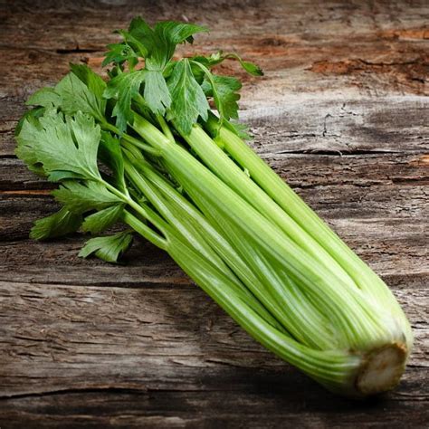 Celery Seeds, Vegetable Seeds#021 – Mays Garden Seed