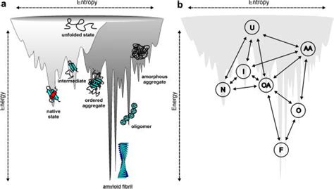 Illustration of a combined energy landscape for protein folding and ...