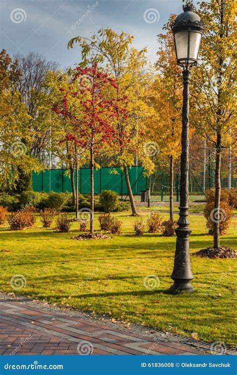 Autumn Scenery in the Park. Stock Photo - Image of foliage, beauty: 61836008