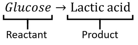 anaerobic respiration key stage wiki