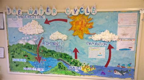 Our year four water cycle display | Water cycle, Water cycle project ...