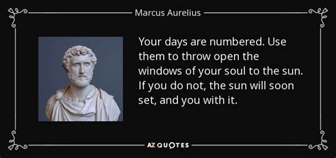 Marcus Aurelius quote: Your days are numbered. Use them to throw open the...