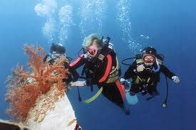 Bonaire scuba diving packages