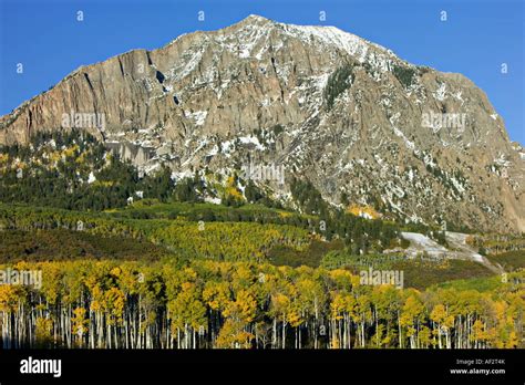 Fall color in Rocky mountains Stock Photo - Alamy