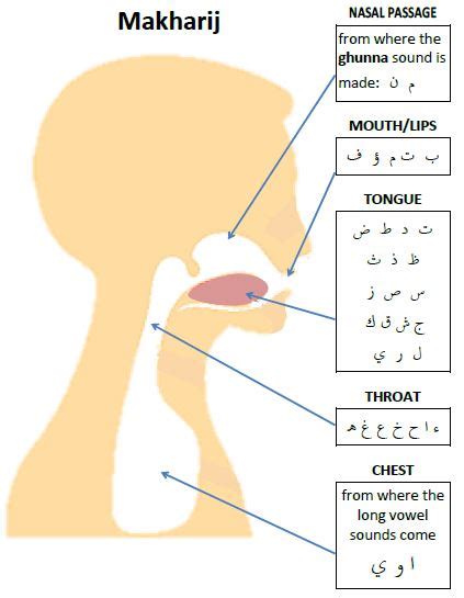 5 Suggested ways to learn Arabic letters pronunciation