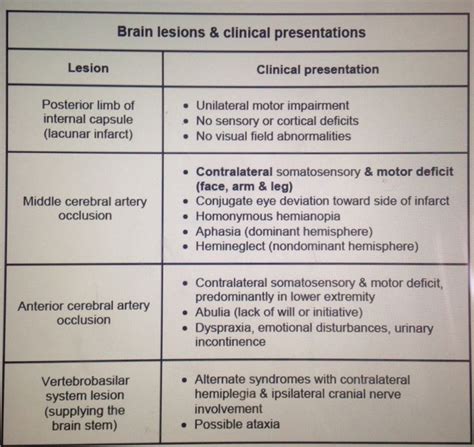 Internal Capsule Stroke Symptoms - mapasebab