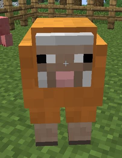 Orange Dye | Minecraft Wiki | Fandom powered by Wikia