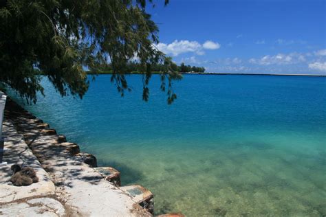 Midway Atoll Photos