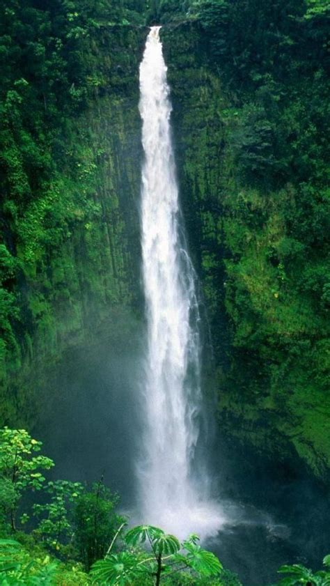 Akaka Falls, Hawaii ☆ Big Island Hawaii, Kauai, Volcano National Park, National Parks, State ...