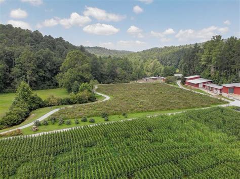 Hillside Orchard Farms | Explore Georgia