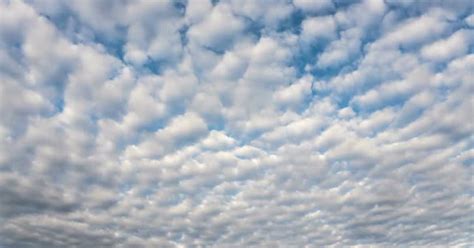 Stratus Clouds by pavlas25 on Envato Elements