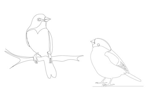 Bird On A Branch Drawing