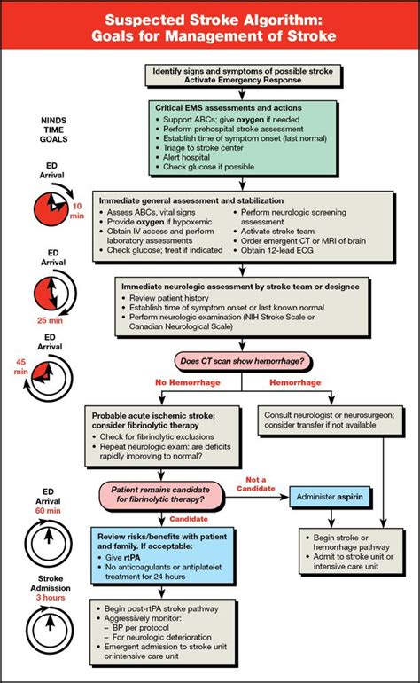 Suspected Stroke Algorithm Card - 25 pk 90-1024 | Emergency nursing, Nurse, Nursing flashcards