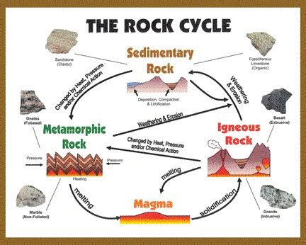 geology - Are the processes of the rock cycle currently in dynamic equilibrium? - Earth Science ...