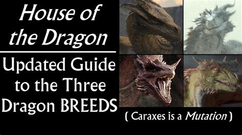 House of the Dragon: Updated Guide to the Three Dragon Breeds Developed ...