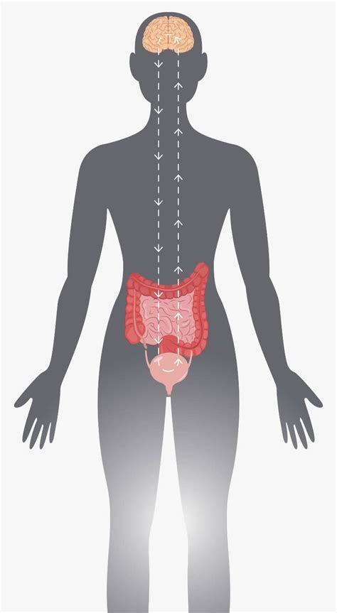 Axonics Therapy - Overactive Bladder Treatment