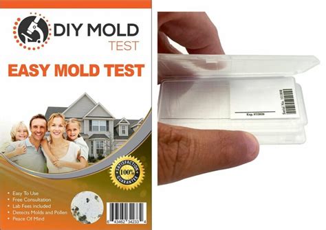 Best Mold Test Kits 2020 - Reviews