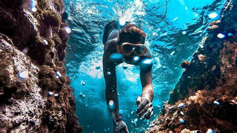 The Ultimate Galapagos Snorkeling Guide