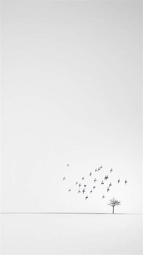 Minimalist White Wallpaper Simple - annunci-tx-udine