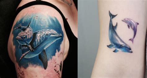 30+ Amazing Dolphin Tattoo Ideas And Designs with Meaning