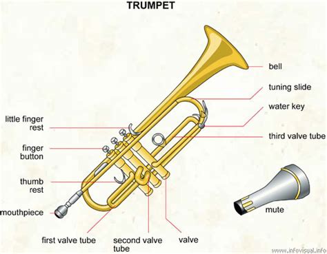 Trumpet Lessons For Beginners