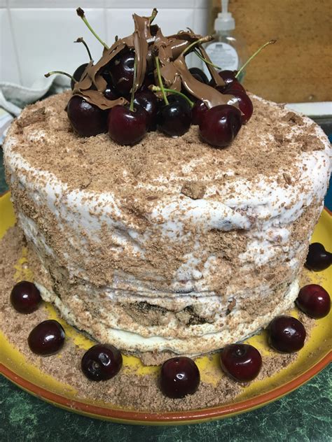 [Homemade] Frozen Christmas pudding cake : r/food