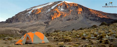 Safari in Tanzania, Safari to Tanzania, Climb Kilimanjaro, Kilimanjaro Trekking mate ...