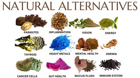 12 Natural, Herbal Alternatives for Common Health Concerns - YouTube