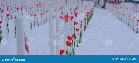 Field of Crosses To Mark Canada S Remembrance Day Stock Image - Image of canada, remember: 261167267