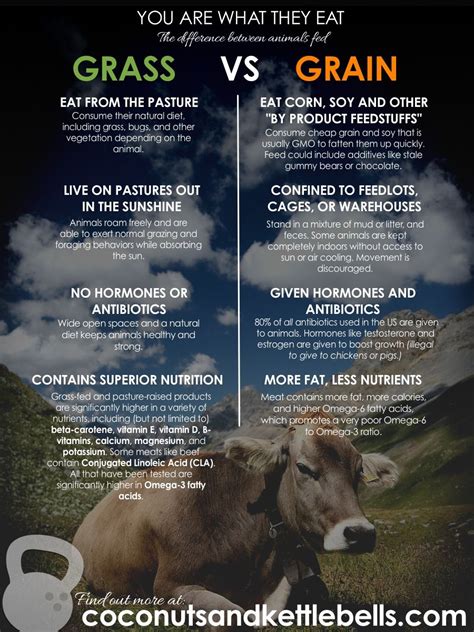The Grass-fed Difference: Why You Are What They Eat - Coconuts & Kettlebells | Grass fed beef ...